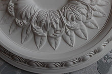 Plaster Ceiling Rose Traditional, Leaf Center, Egg And Dart Detail  535 mm / 21"